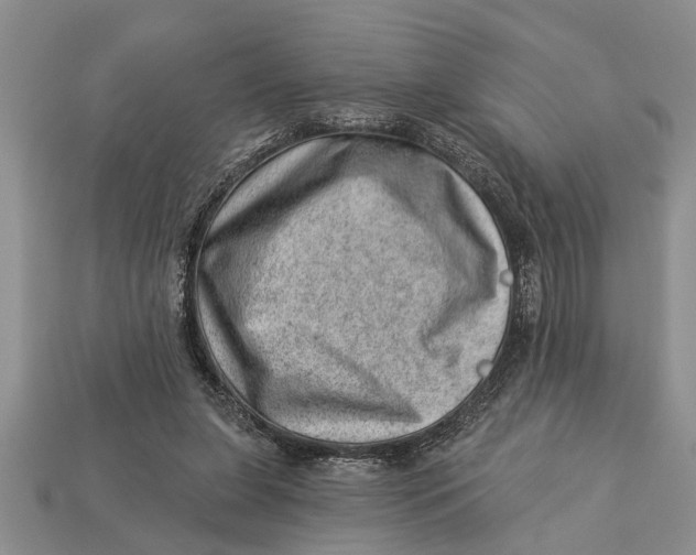 X0000112920255200909211059