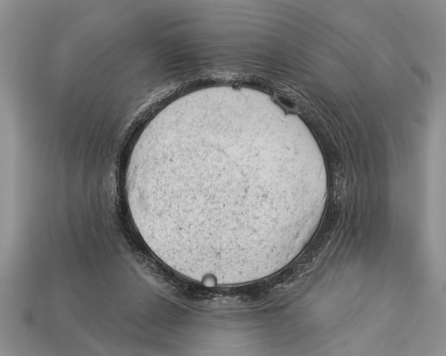 X0000112920256200909211059