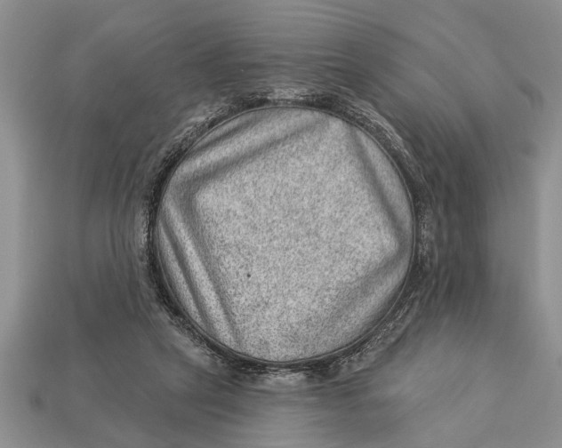 X0000112920257200909211059