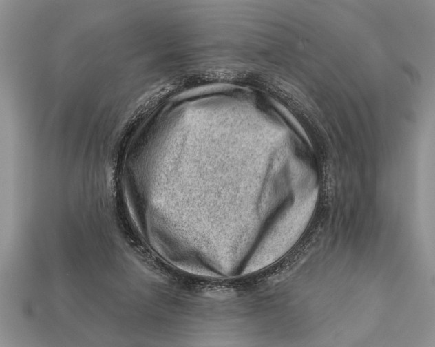 X0000112920258200909211059