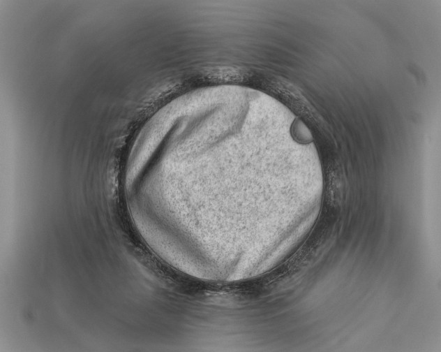 X0000112920259200909211059