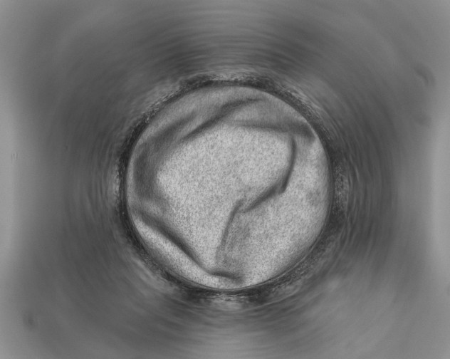 X0000112920261200909211059
