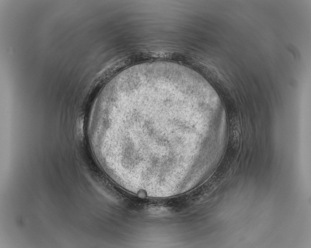 X0000112920262200909211059