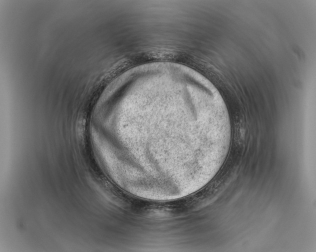 X0000112920263200909211059