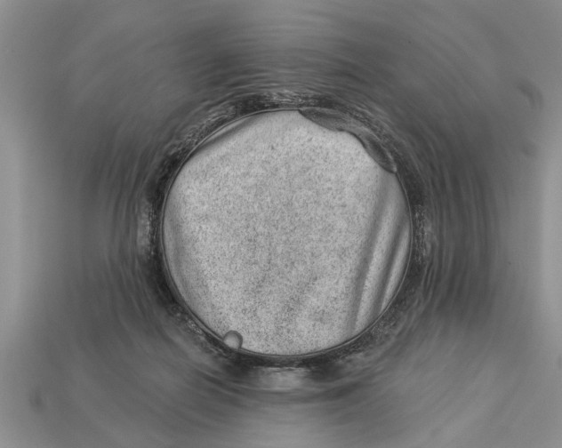 X0000112920266200909211059