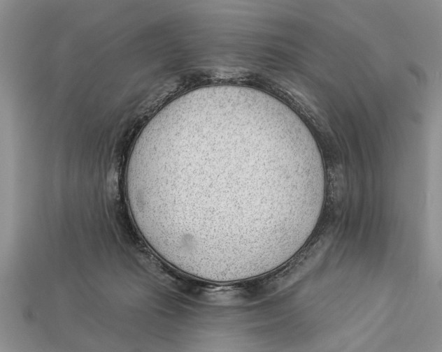 X0000112920269200909211059