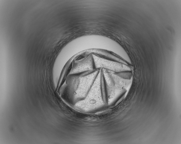 X0000112920272200909211059