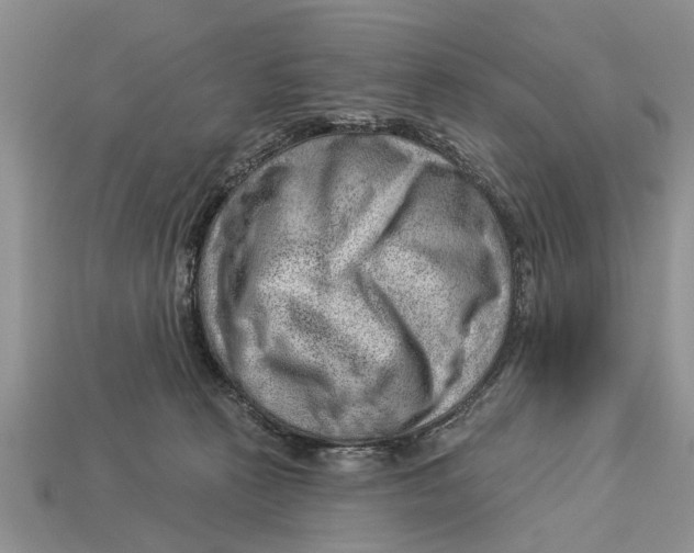 X0000112920273200909211059