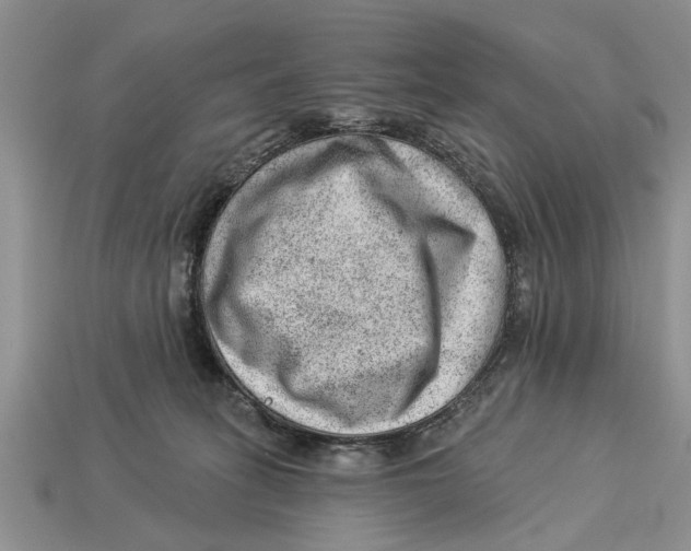 X0000112920275200909211059