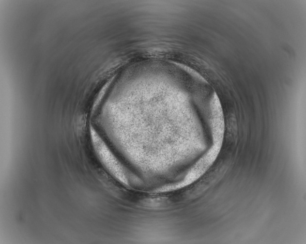 X0000112920278200909211059