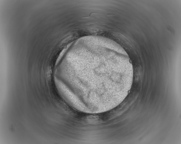X0000112920279200909211059