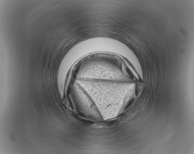 X0000112920280200909211059