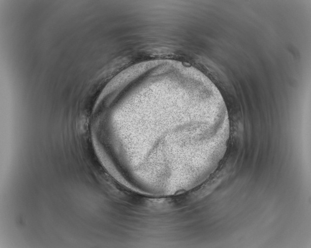 X0000112920281200909211059
