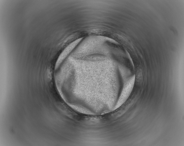 X0000112920282200909211059