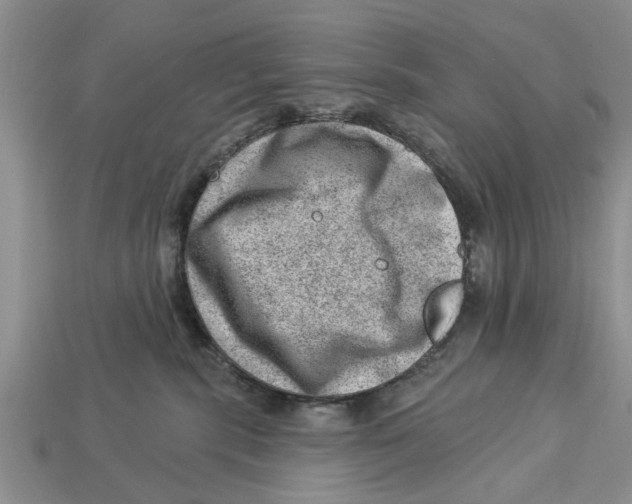 X0000112920283200909211059