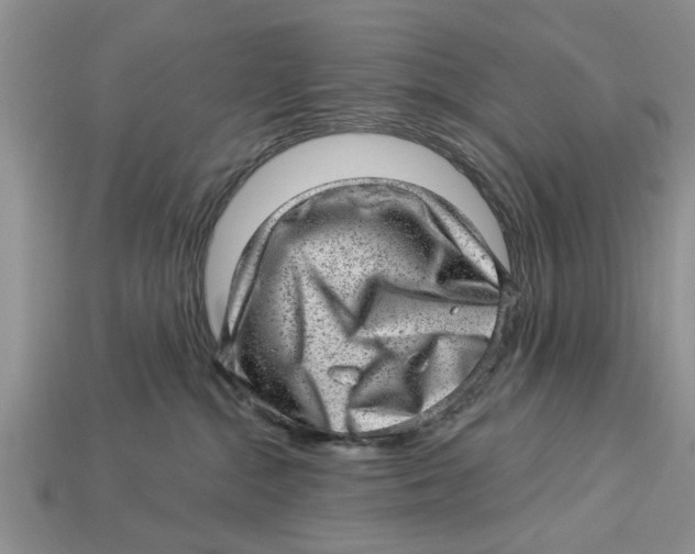 X0000112920284200909211059