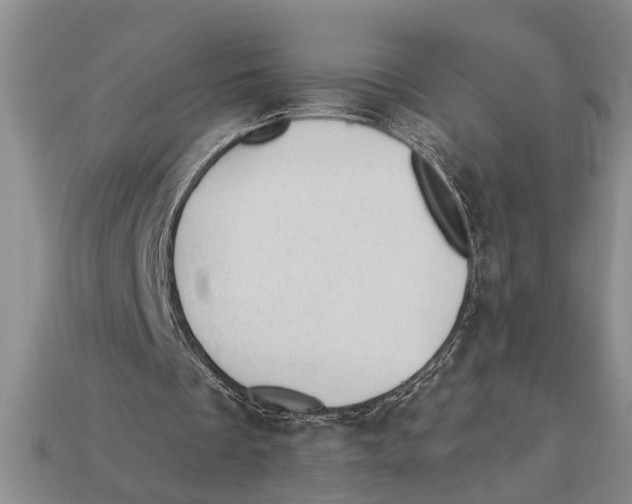 X0000112920289200909211058