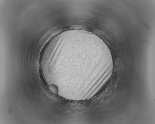X0000112920290200909211058