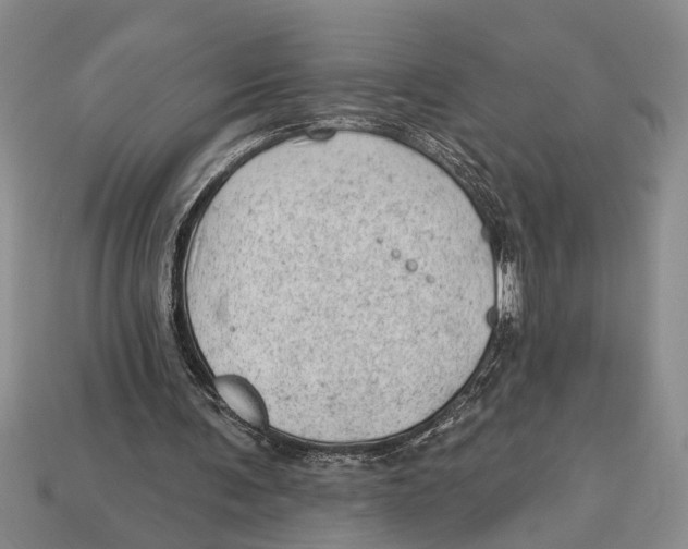 X0000112920291200909211058