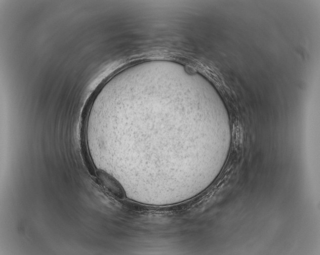 X0000112920292200909211058