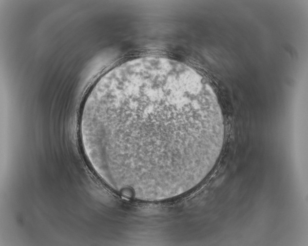 X0000112920293200909211058