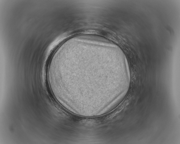 X0000112920294200909211058