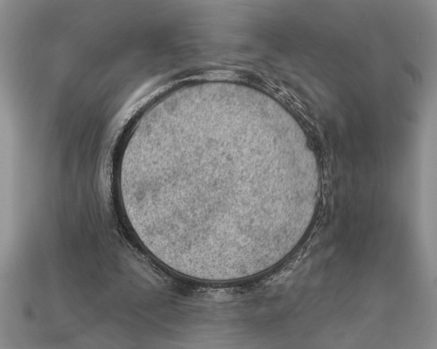X0000112920295200909211058
