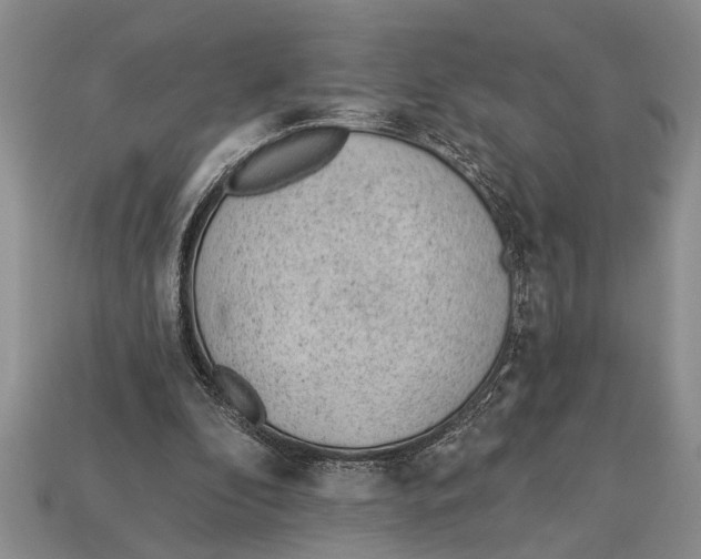 X0000112920296200909211058