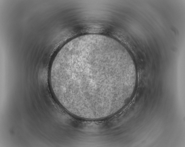 X0000112920297200909211058