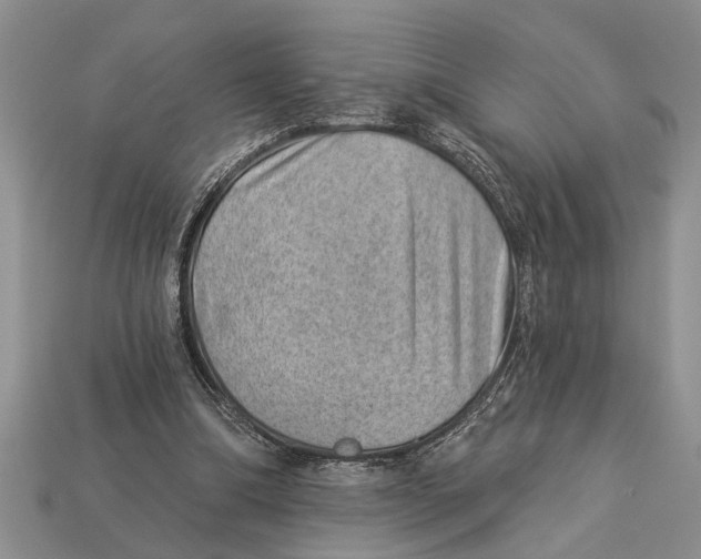 X0000112920298200909211058