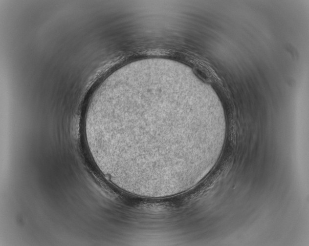 X0000112920299200909211058