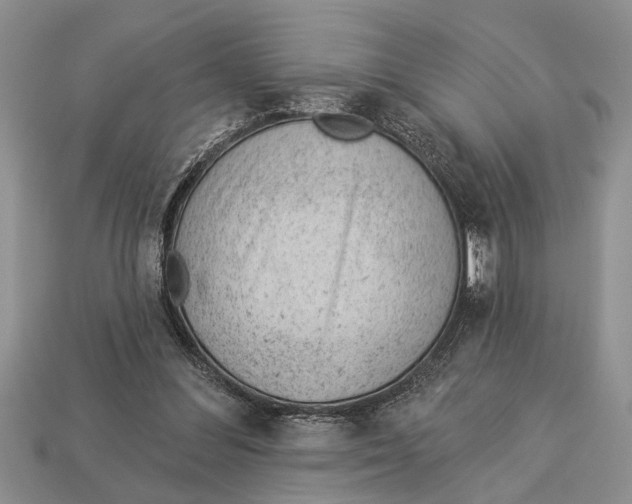 X0000112920300200909211058
