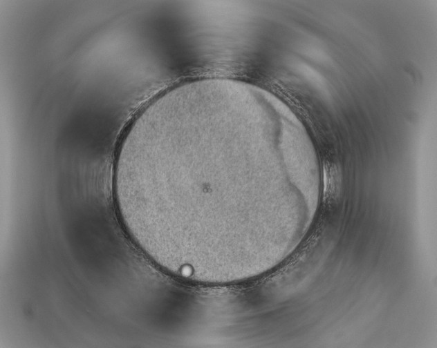 X0000112920301200909211058