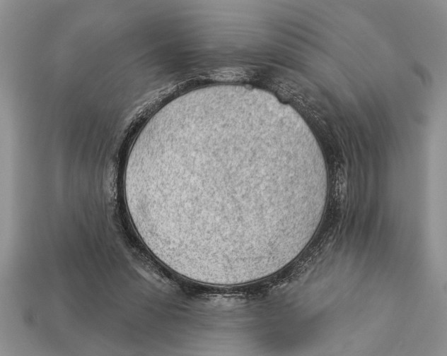 X0000112920303200909211058