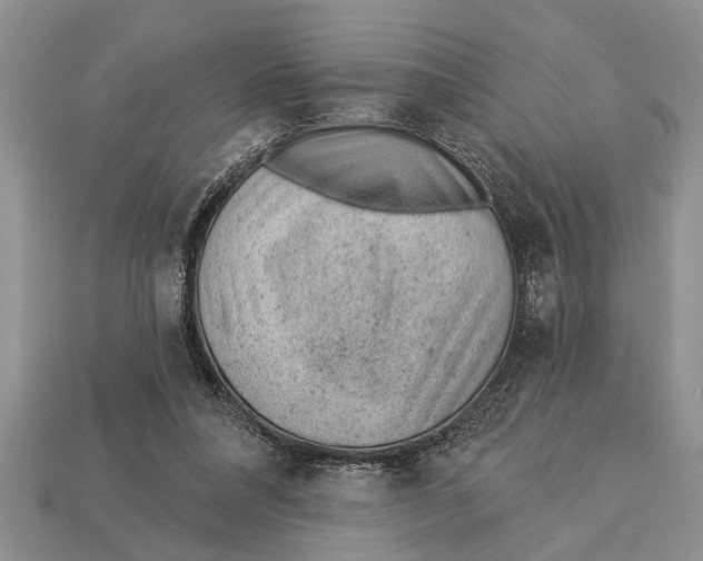 X0000112920304200909211058