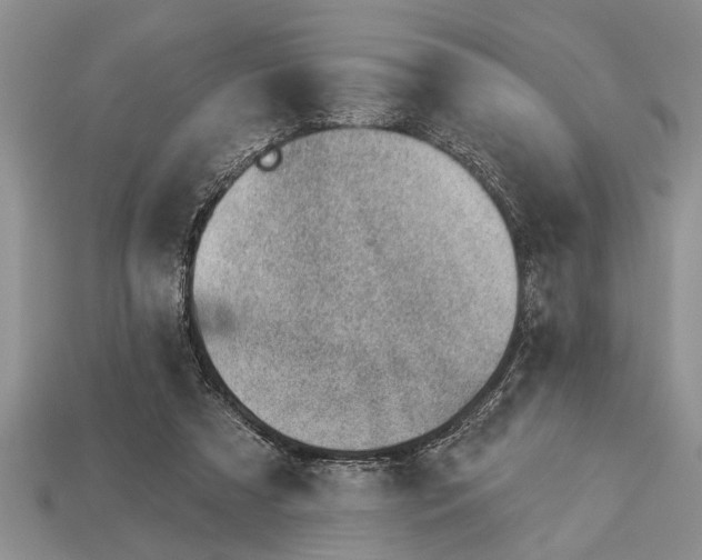 X0000112920305200909211058