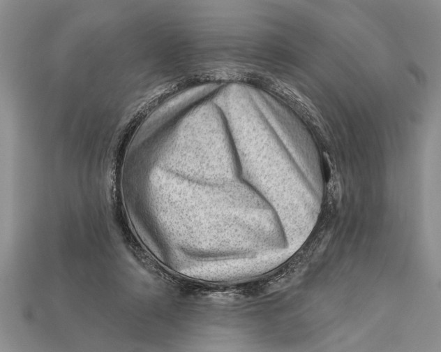 X0000112920306200909211058
