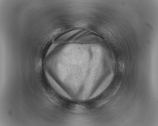 X0000112920308200909211058