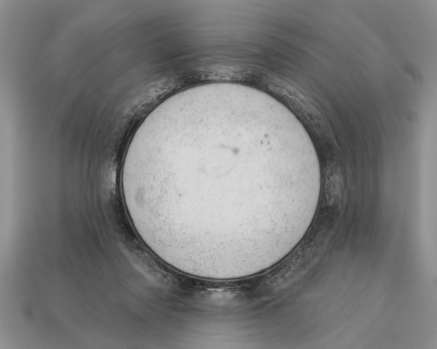 X0000112920310200909211058