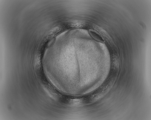 X0000112920312200909211058