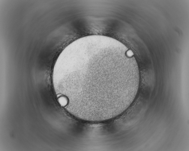X0000112920313200909211058