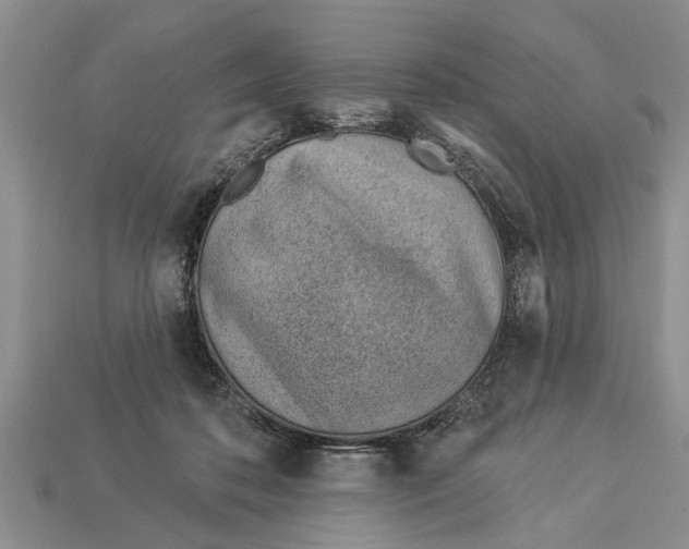 X0000112920316200909211058
