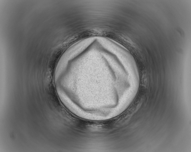 X0000112920318200909211058