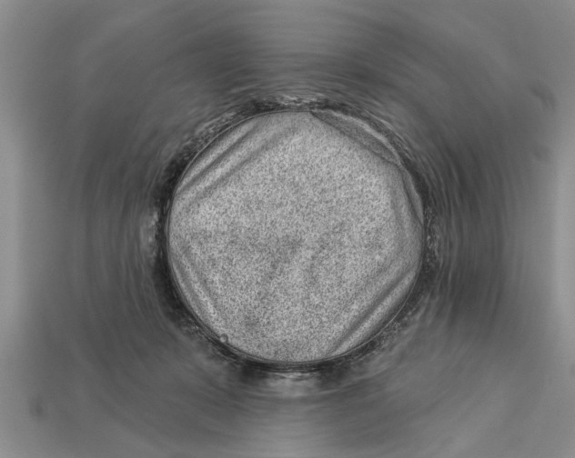 X0000112920319200909211058