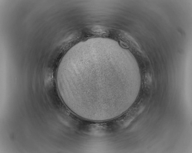 X0000112920320200909211058