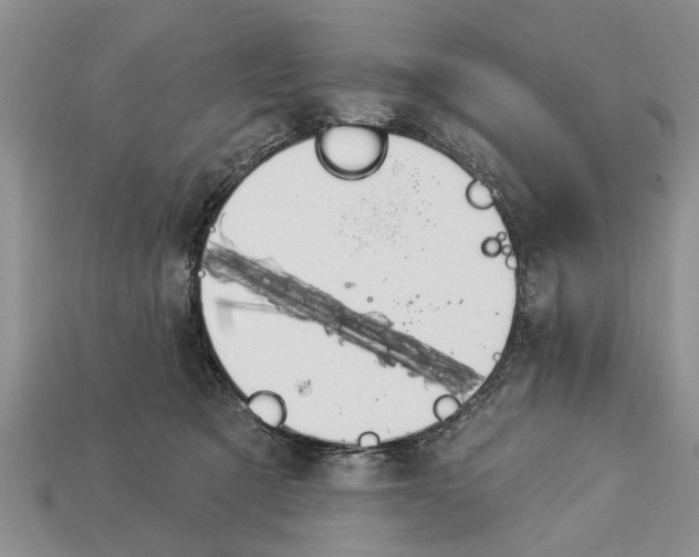 X0000112920321200909211058