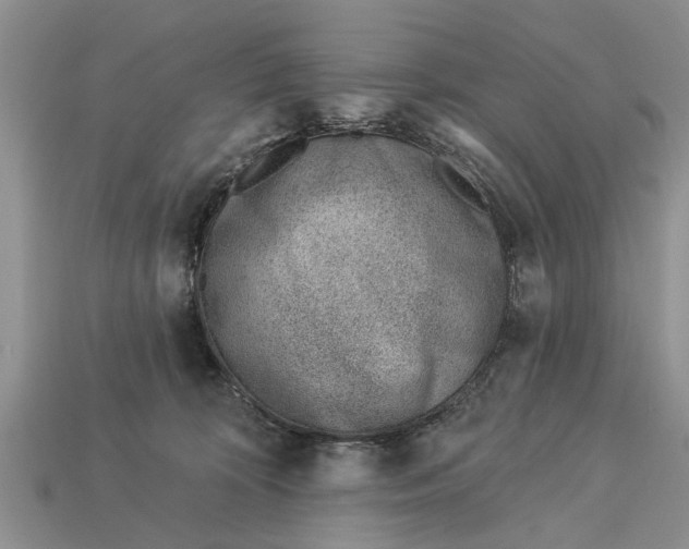 X0000112920324200909211058