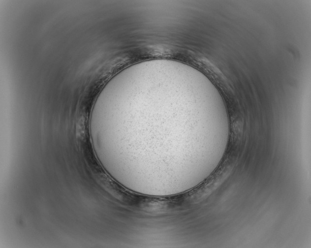 X0000112920325200909211058