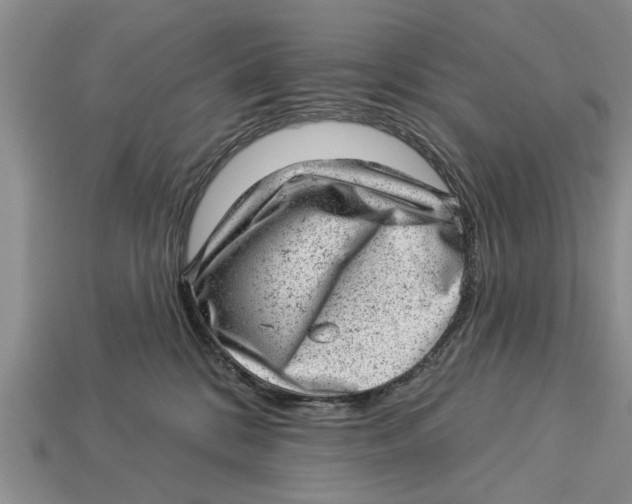 X0000112920328200909211058