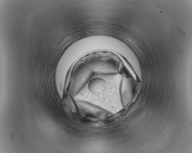 X0000112920333200909211058